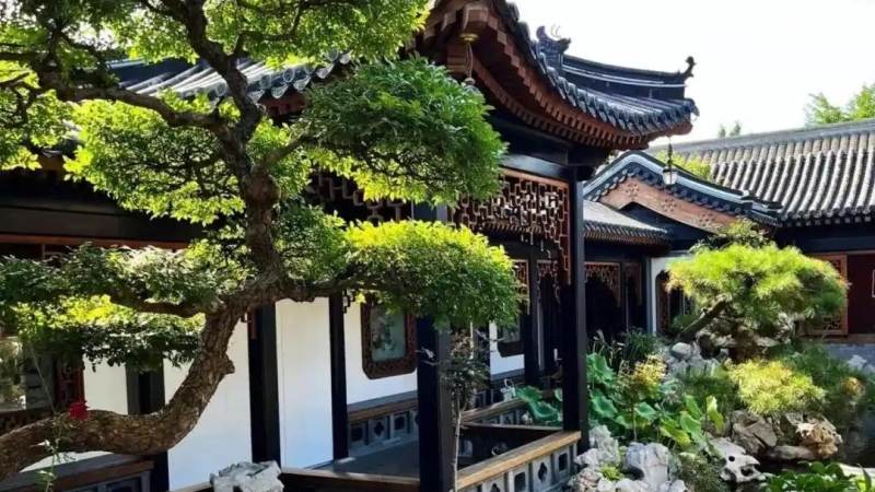 中国象棋开局布阵怎么学？从炮马兵到飞相局的实战思路